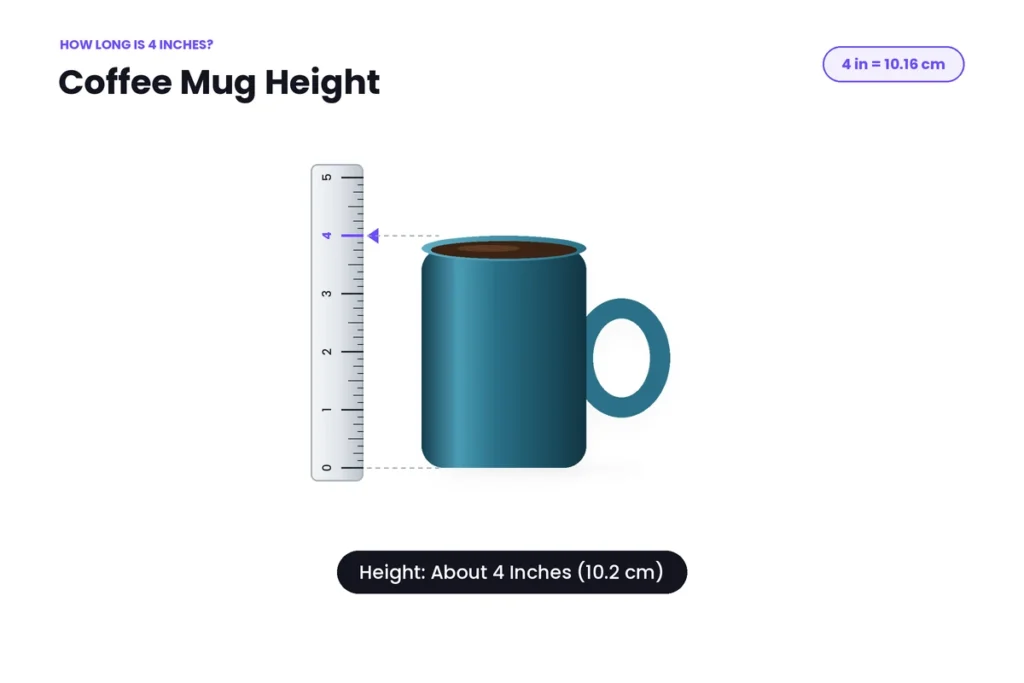 The Height of a Coffee Mug