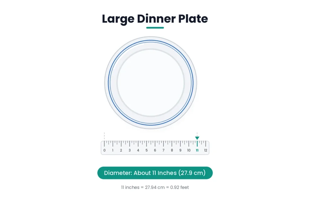 Large Dinner Plate