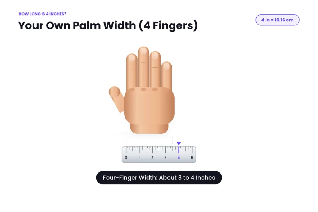 Palm Width Across Four Fingers